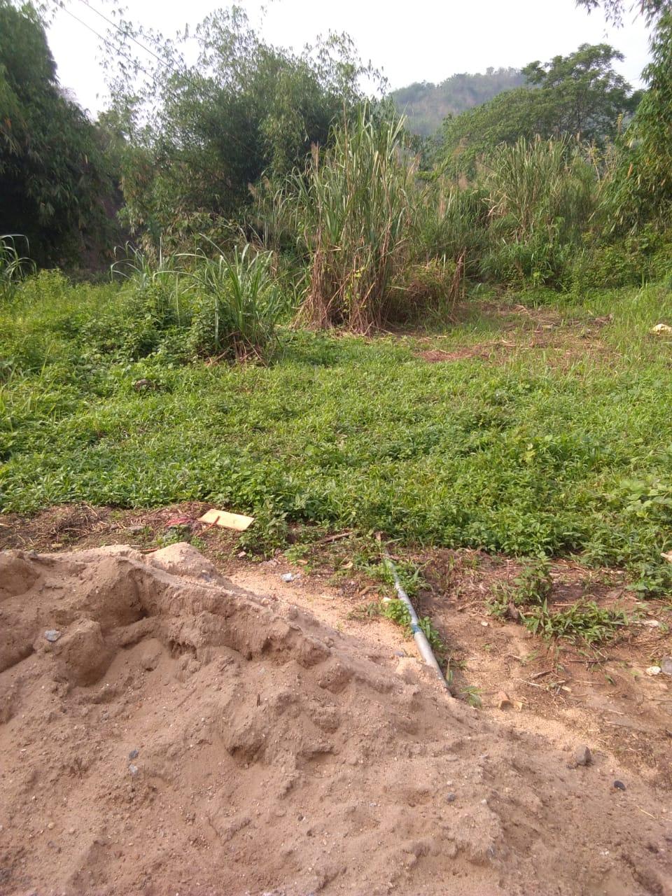 C:\Users\Lavinia Pde\Pictures\Camera Roll\IMG-20220713-WA0024.jpg